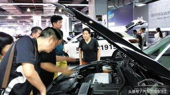 国产车厂老板是谁呀视频,探寻汽车行业领军人物