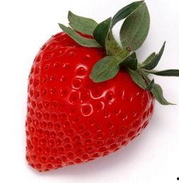 国产学生A片草莓视频,揭秘国产学生A片背后的真相与争议