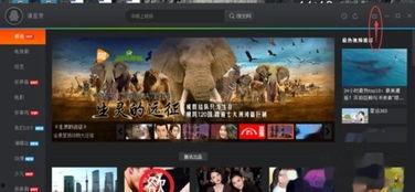 国产乱幕视频网站大全,盘点热门平台与内容解析