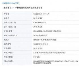 国产视频申请,传承与创新，共筑光影盛宴