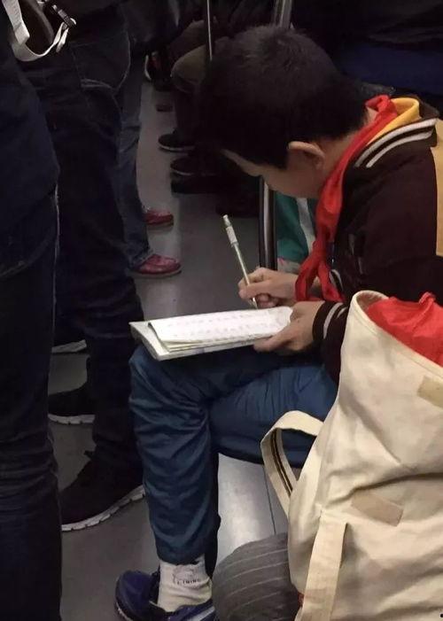 国产小男生gv视频网站,网络迷雾中的青春诱惑