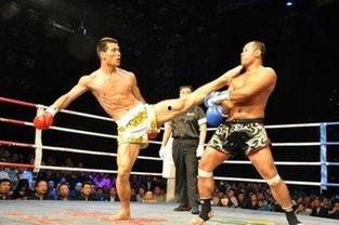 拳击的美剧视频推荐国产,国产拳击美剧，热血沸腾的竞技盛宴