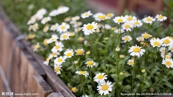 草草草草国产小视频