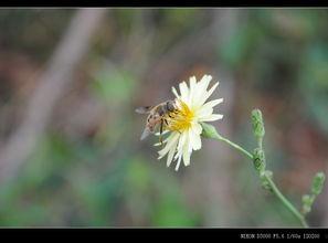 草草草草国产小视频