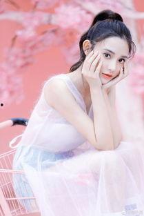 国产自拍东宫媚娘视频,国产自拍视频中的古典美艳演绎