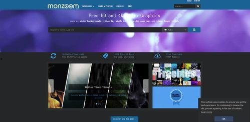 国产高清视频50页